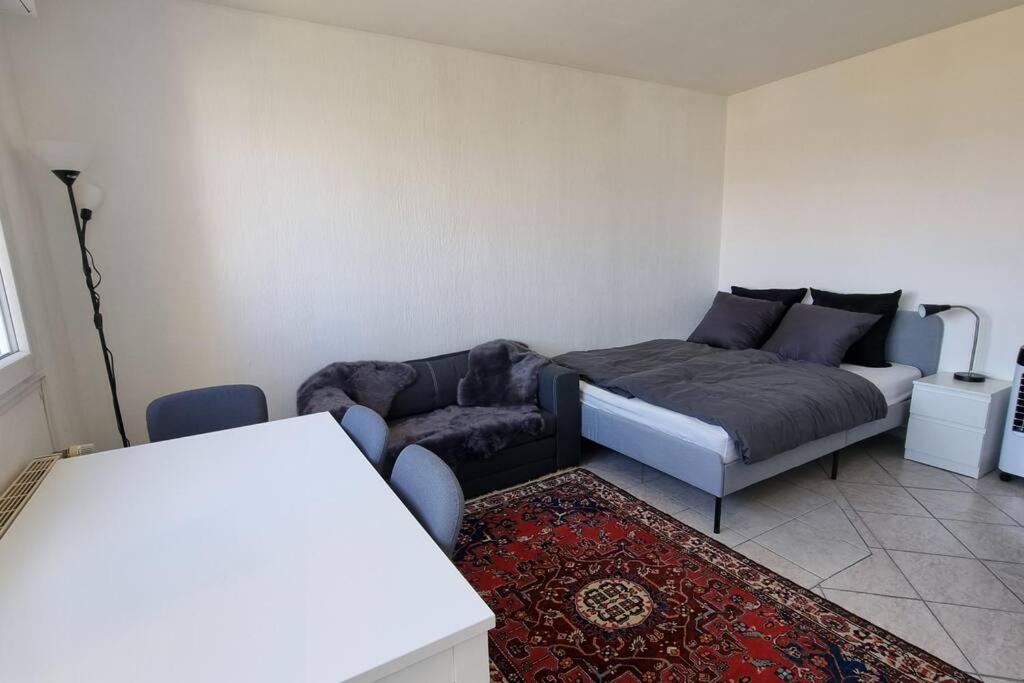 Traumhaftes Studio In Top Lage! 圣路易 外观 照片